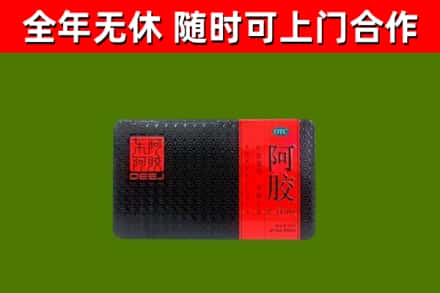石龙镇回收阿胶